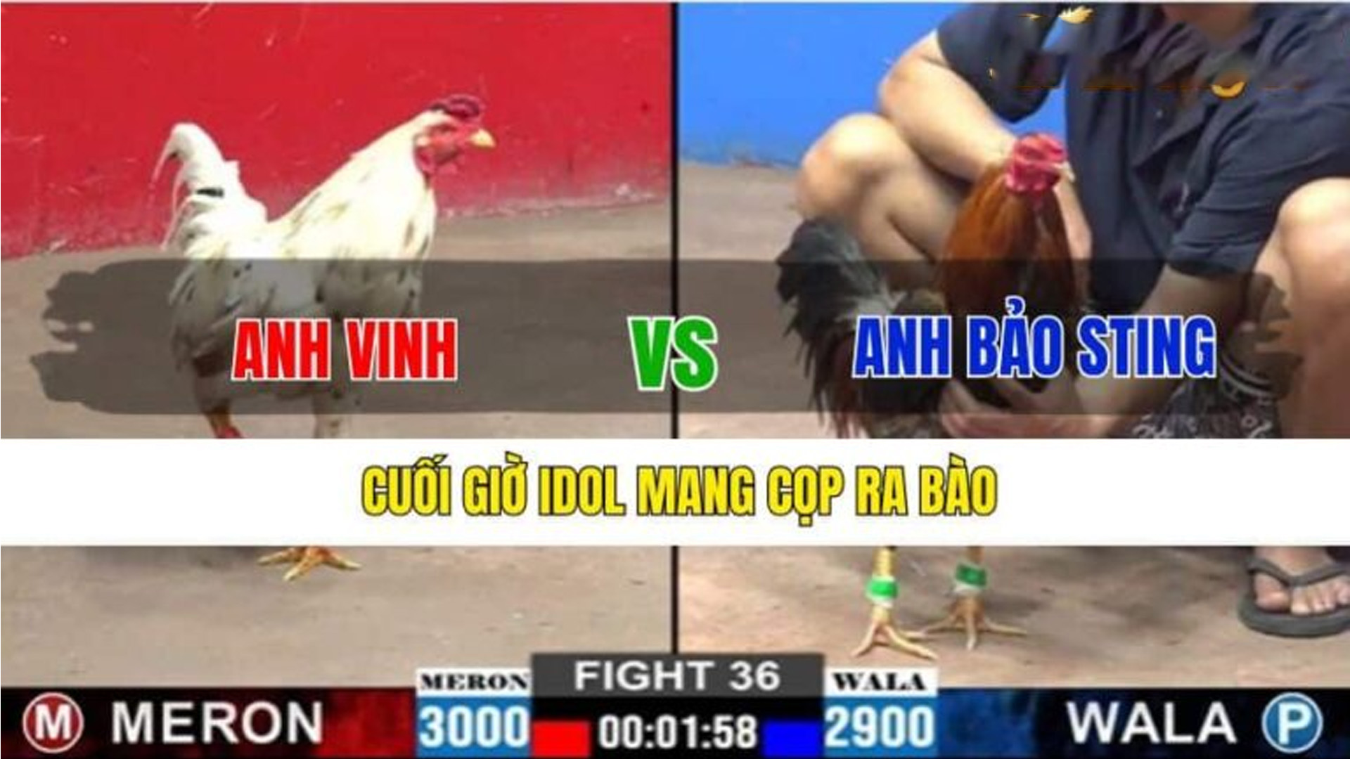 TRẬN 36 CPC2 19/2/2025 CUỐI GIỜ IDOL MANG CỌP RA BÀO