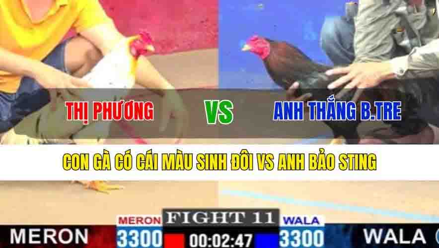 TRẬN 11 CPC1 6/3/2025 - CON GÀ CÓ CÁI MÀU SINH ĐÔI VS ANH BẢO STING