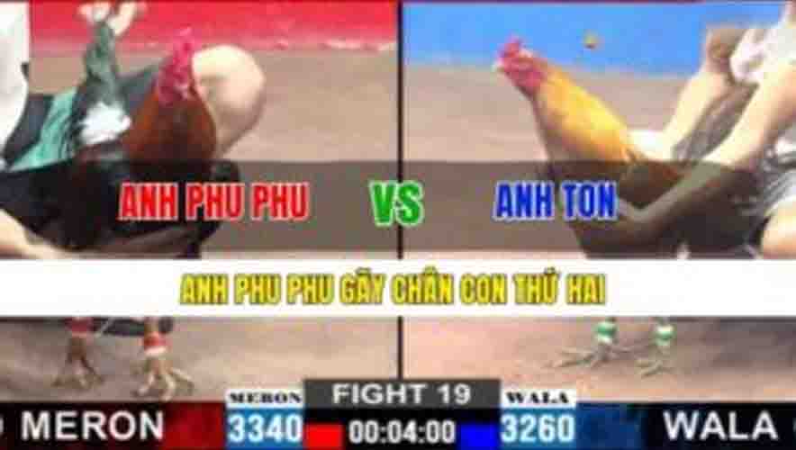 TRẬN 19 CPC2 2/3/2025 - ANH PHU PHU GÃY CHÂN CON THỨ HAI