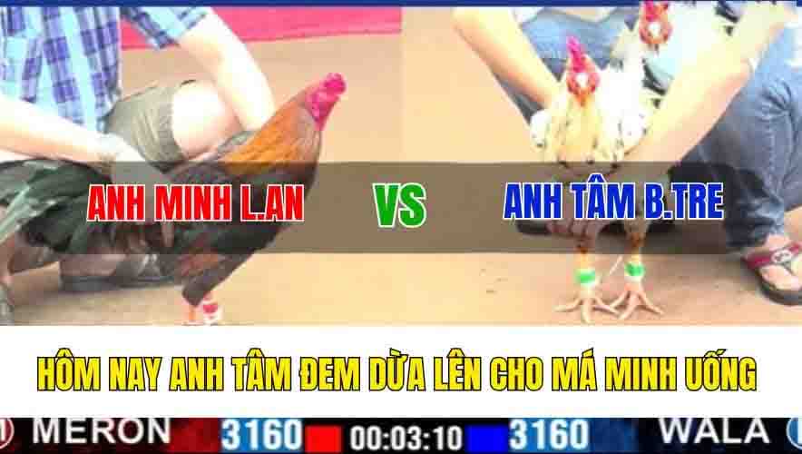 TRẬN 2 CPC1 4/3/2025 - HÔM NAY ANH TÂM ĐEM DỪA LÊN CHO MÁ MINH UỐNG