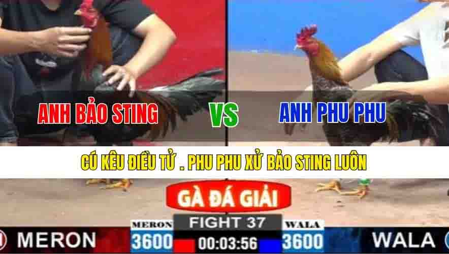 TRẬN 37 CPC2 2/3/2025 - PHU PHU XỬ LUÔN BẢO STING