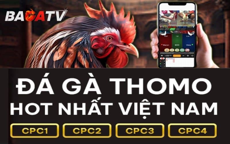 Trực tiếp đá gà tại BAGATV phát sóng 4 bồ gà nổi tiếng